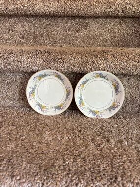 Arcadia Gold-Trimmed White Porcelain Saucers with Multicolor Floral Garland